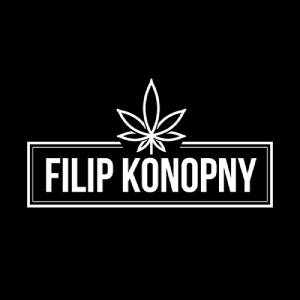 Super Lemon Haze Susz Konopny - Filip Konopny