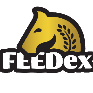 Pasze dla koni chudych - Suplementy dla kotów - Feedex
